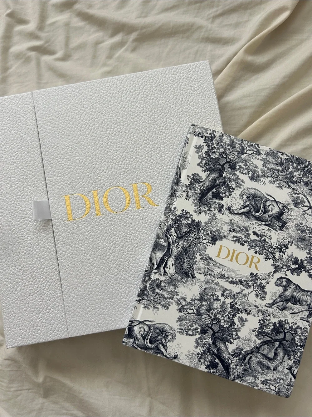 Dior large notebook - Blue Toile de Jouy